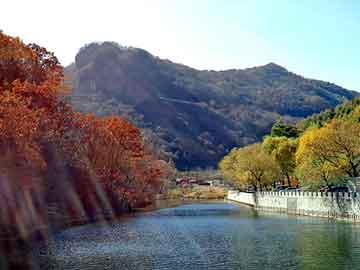 管家婆黑白马报图库，本田crv论坛